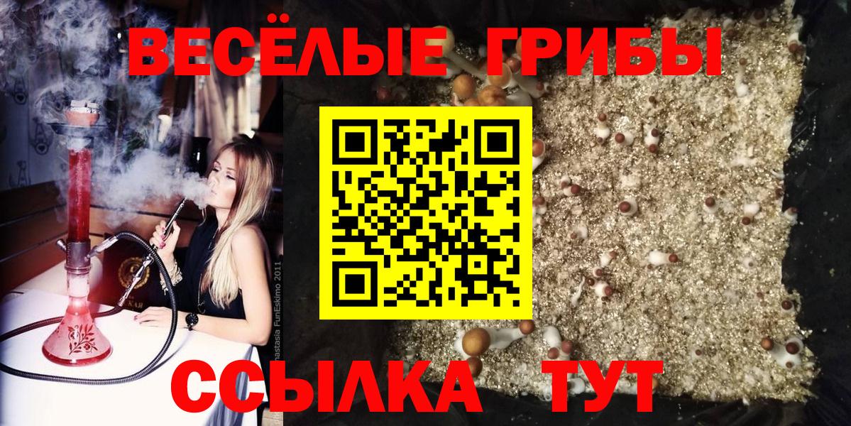 Галлюциногенные грибы Magic Shrooms Нижний Тагил
