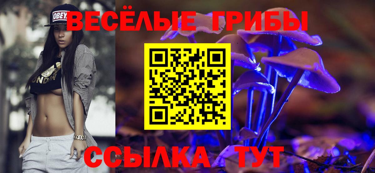 Псилоцибиновые грибы прущие грибы  Вход с VPN  Нижний Тагил 